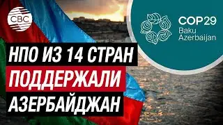 COP29: Зарубежные НПО выразили поддержку Азербайджану