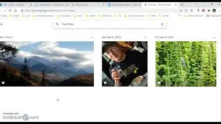 Google Photos on a PC Overview 2021