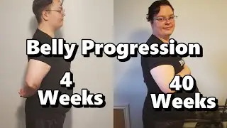 Pregnancy Belly Progression | Belly Update | Pregnancy