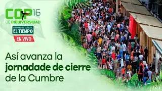 Último día de la COP16 en Cali: así avanza la jornada de cierre de la Cumbre de la Biodiversidad