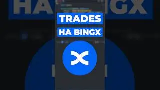 Как получить сделки по монете на бирже BingX #algotrading #bingx #python