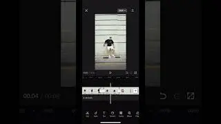 Trending iPhone Video Effect: Finger Snap in CapCut