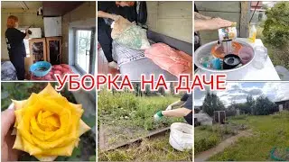 МОТИВАЦИЯ НА УБОРКУ / УБОРКА В ДАЧНОМ ДОМИКЕ../ 21 августа 2024 г.