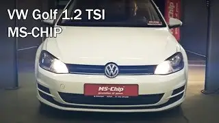 Увеличение мощности VW Golf 1.2 TSI с MS-Chip - замер на диностенде