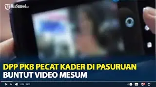 Buntut Video Mesum, DPP PKB Pecat Anggota DPRD Kabupaten Pasuruan