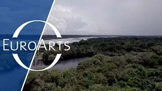 Teatro Amazonas - The Art of Sound and Nature (Trailer)