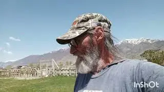 living in rural Nevada - Wildflowers Blooming in the Yard