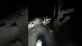 VEGAS NIGHT RIDING ON A TACO MOTO BUILT 2024 KTM 500 EXC-F