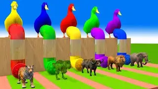 5 Giant Duck Cartoon, Cow, Elephant, Buffalo, Lion, T-Rex, Tiger, Transfiguration funny animal 2023