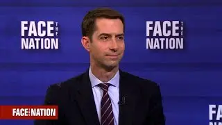 Sen. Cotton on a skills-based immigration policy