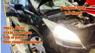 Peugeot. Risk of DPF clogging message.P0031, P0102 & P2426
