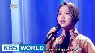 Song Sohee - Gangwon-do Arirang | 송소희 - 강원도 아리랑 [Immortal Songs 2 / 2016.10.29]