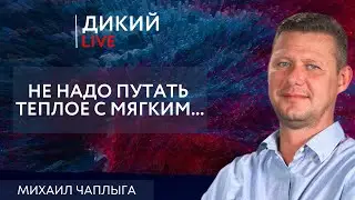 Любовь за деньги. Михаил Чаплыга. Дикий LIVE.