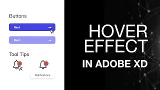 Button hover effects in Adobe XD  -  Using components & States Tutorial