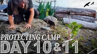 Greg Days 10 & 11 Survival Pest Control Bushcraft Trap | 30 Day Survival Challenge: Vancouver Island