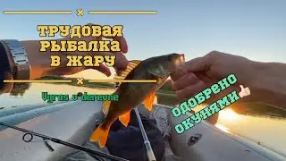 Как поймать на поппер?Рыбалка на ДИКОМ ОЗЕРЕ.