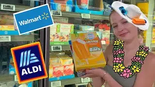 Annual Pool Party - Grocery Haul from ALDI and Wal*Mart!!