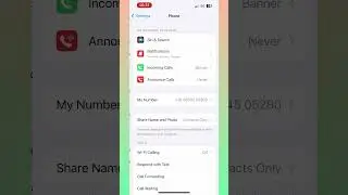 How to find block contacts in iPhone #shorts #apple #block #contacts