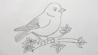 How to draw a bird step by step!! bird drawing easy!!drawing for beginners