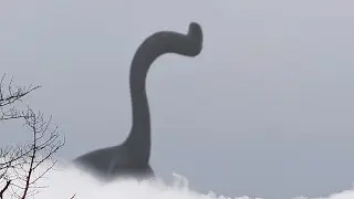 Mysterious Creature Caught On Camera!