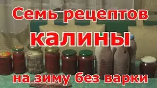 Семь рецептов из калины на зиму без варки. Проверенные рецепты. Как сохранить максимум витаминов.