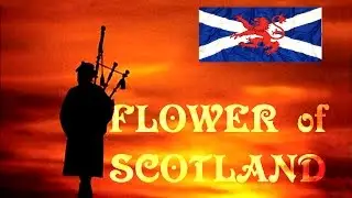 ⚡️FLOWER OF SCOTLAND ⚡️ROYAL SCOTS DRAGOON GUARDS⚡️