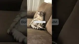 А что выберешь ты?