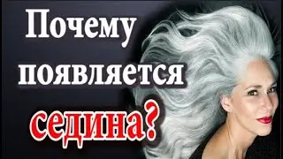 Почему появляется седина