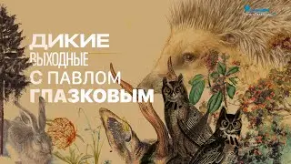 Дикие выходные с Павлом Глазковым. Экотропа «Озеро Шимпалатовское»