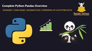 Complete Python Pandas Overview | Power Up & Plot Your Data Insights!