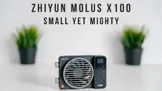 Zhiyun MOLUS X100 | Small Yet Mighty