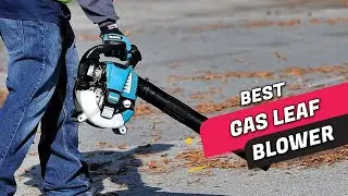 Top 5 Best Gas Leaf Blowers Review in 2023