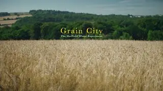 Grain City - a short documentary about The Sheffield Wheat Experiment