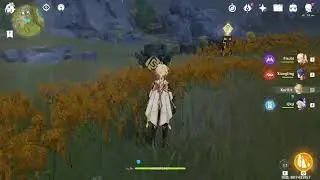 Genshin Impact Sea of clouds Geo puzzle solution