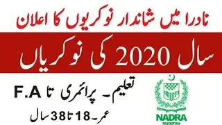 Nadra jobs 2020 | govt jobs 2020 in Pakistan NADRA