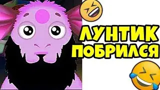 😁 Лютые Приколы ► Лунтик Побрился (Смешные мемы. Угарные Приколы и Лучшие Мемы)