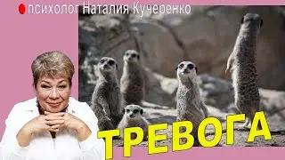 Тревожность и что с ней делать. Методы.