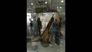 Выставка 
