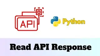 Data Loading: Python API Requests Overview: Examples with Basic Auth and Bearer Token Authentication