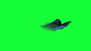 flying particle Green Screen
