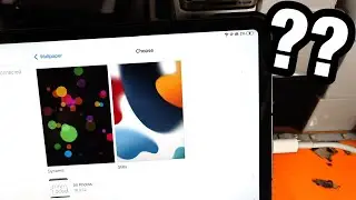 Can You Put Live Wallpaper on iPad Pro? [ANSWERED]