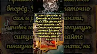 Совет карт таро #таро #tarot #картадня