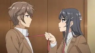 Rascal Does Not Dream of Bunny Girl Senpai - Opening [AMV] Honey Jet Coaster