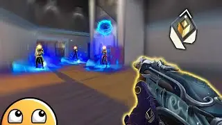 What 1000 hours on Gekko looks like