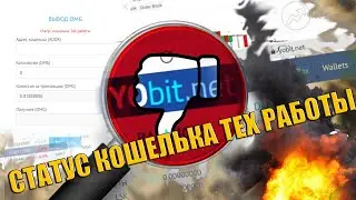 Биржа yobit и ТЕХ РАБОТЫ кошельков. Статус кошелька тех работы