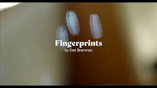 Dan Bremnes - Fingerprints (Official Music Video)