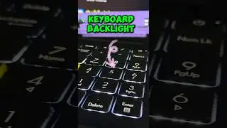 How to Turn on Keyboard Backlight 