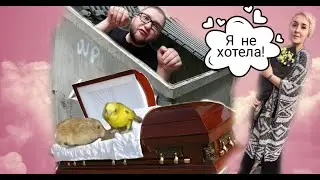 VLOG: Откуда я вылез? Моя подруга оторвала голову попугаю. Что дальше?