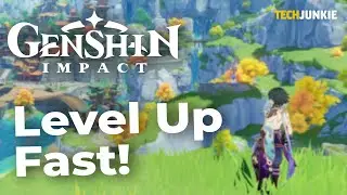 How to Level Up Fast in Genshin Impact