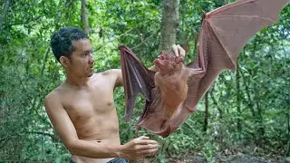 O.M.G Cooking Bats to Eat😱😱😱